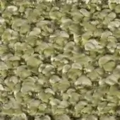Textured surface of rounded olive green and white forms resembling miniature swans, glossy molded material, repetitive organic pattern, close-up texture.